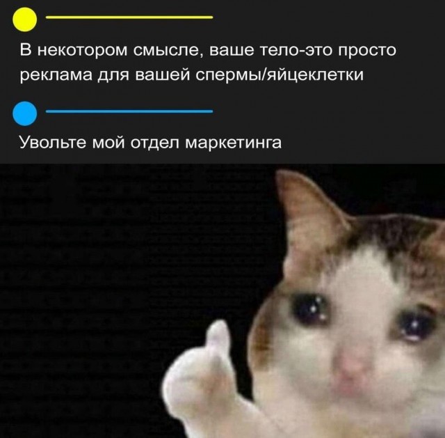 Весёлый полтишок 18.07