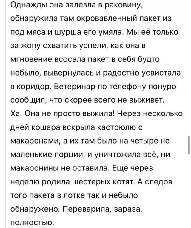 Веселые засранцы