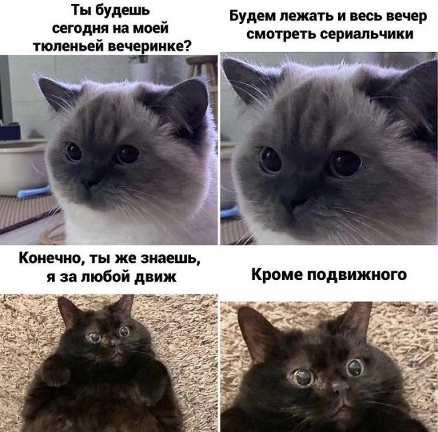 Юмор в картинках 22.08.21