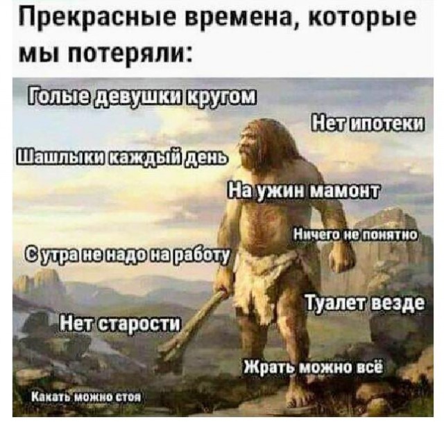 15973804.jpg