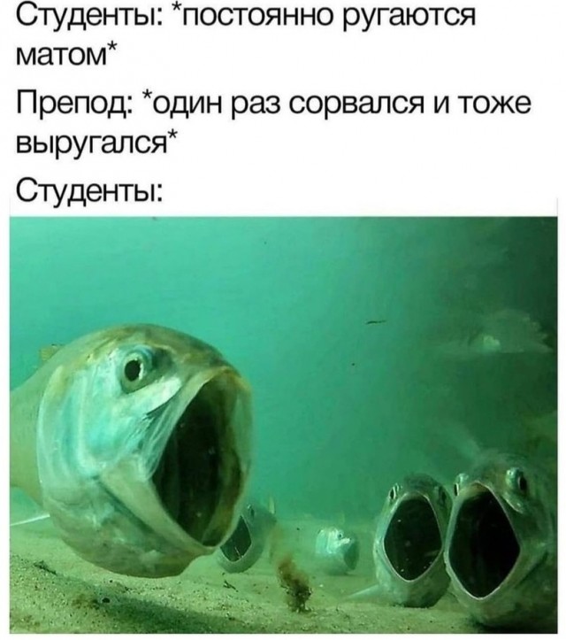 Юмор и прикольные картинки 18.10.2021
