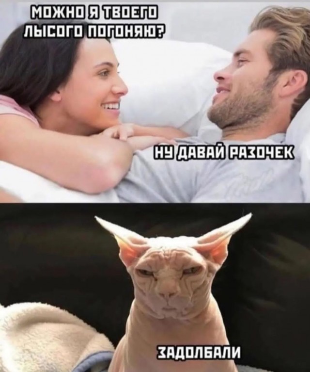 Подруга Голлума