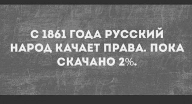 Всяческие картинки 10.11.2021