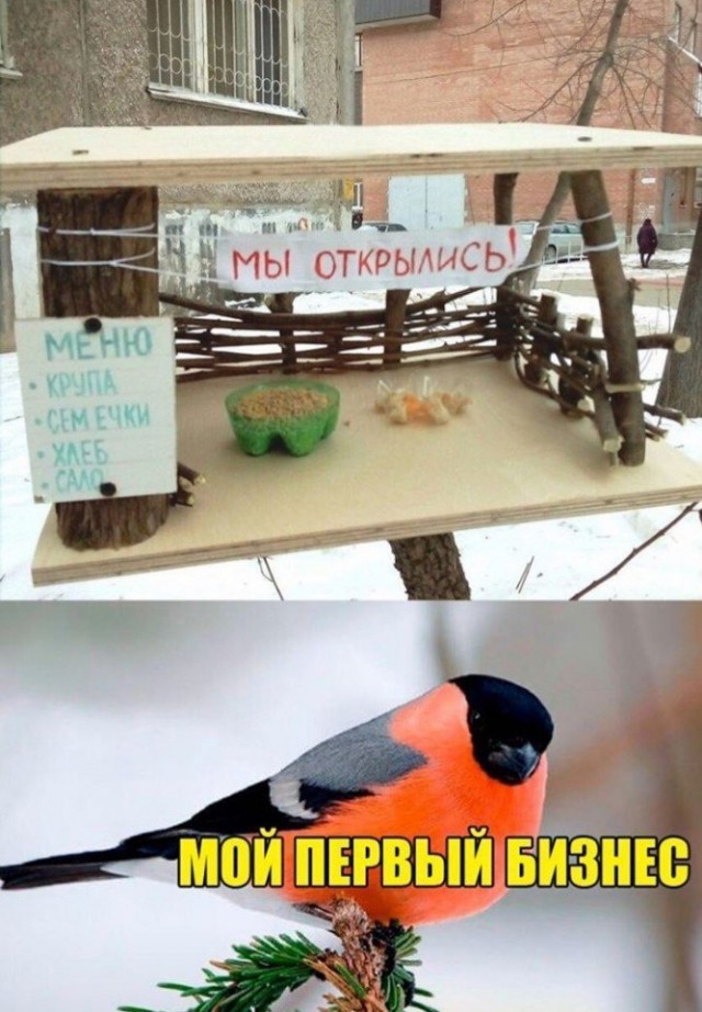 Так себе картинки 12.11.21