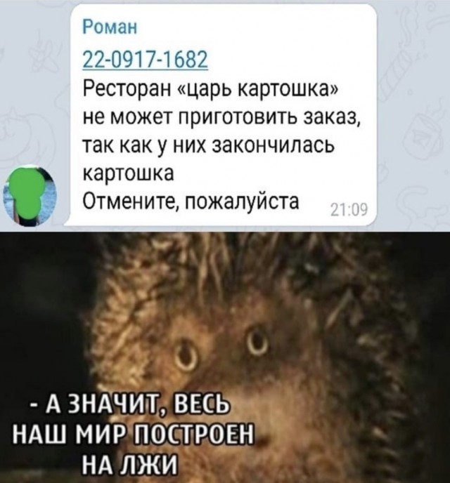 Весёлый полтишок 26.11