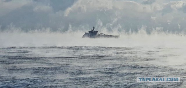 Пицце-твисты:)