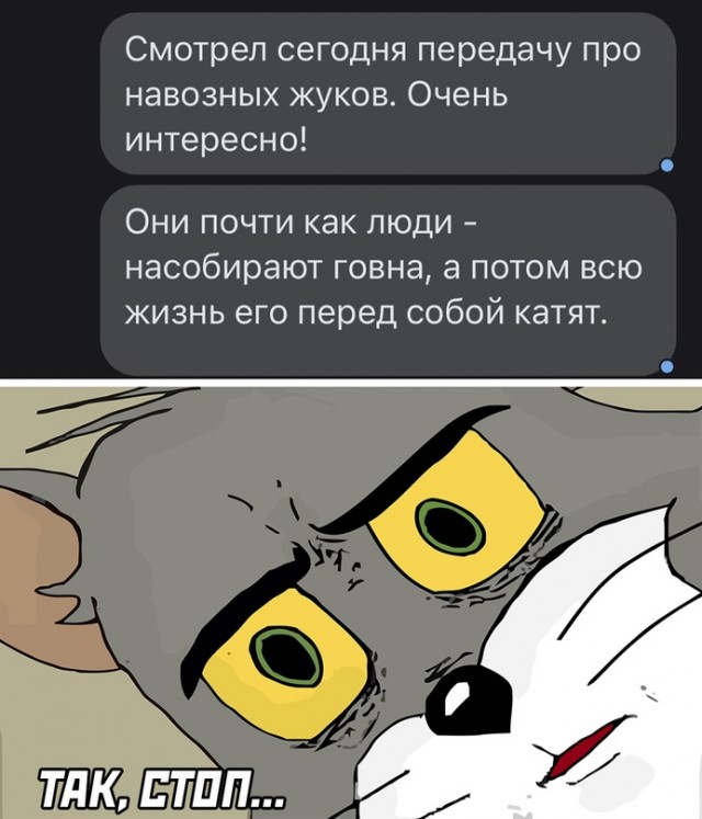 Весёлый полтишок 14.03