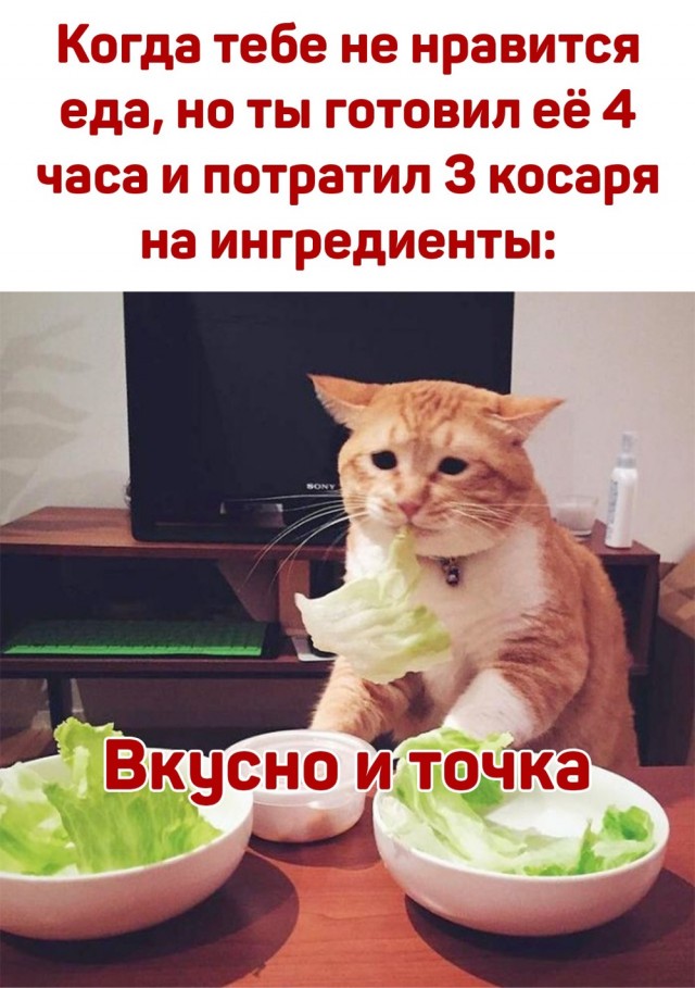 Квартирный ЭтаНиПлов.