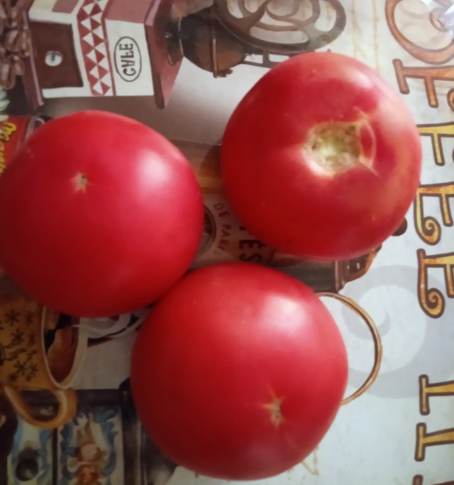 Муж загулял...