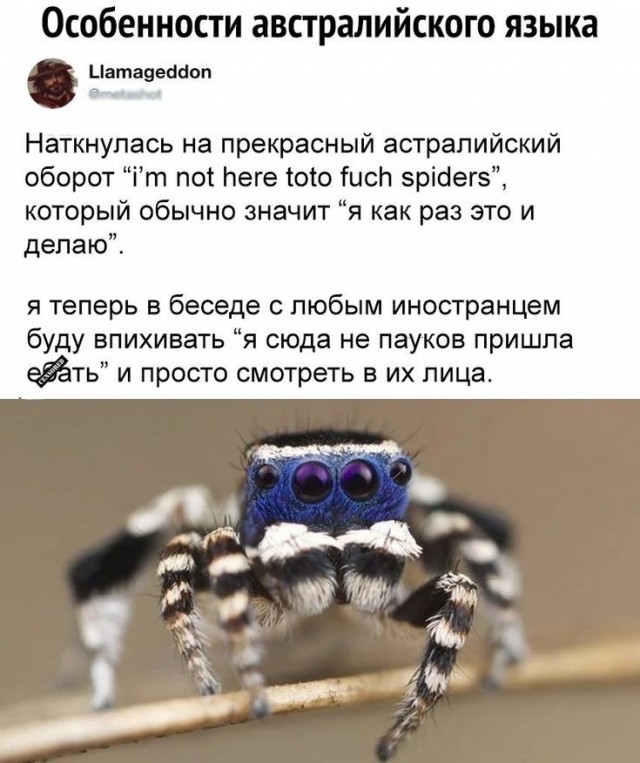 Картинки 21.06.22