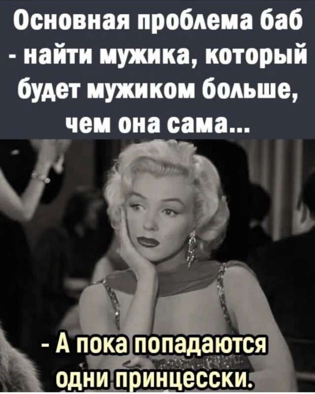 Весёлый полтишок 27.06.22