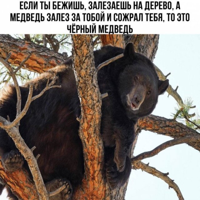 Картинки и мемы для настроения. Выходные скоро