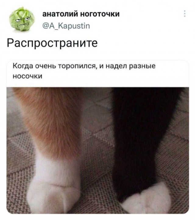 Картинки и мемы для настроения - 17