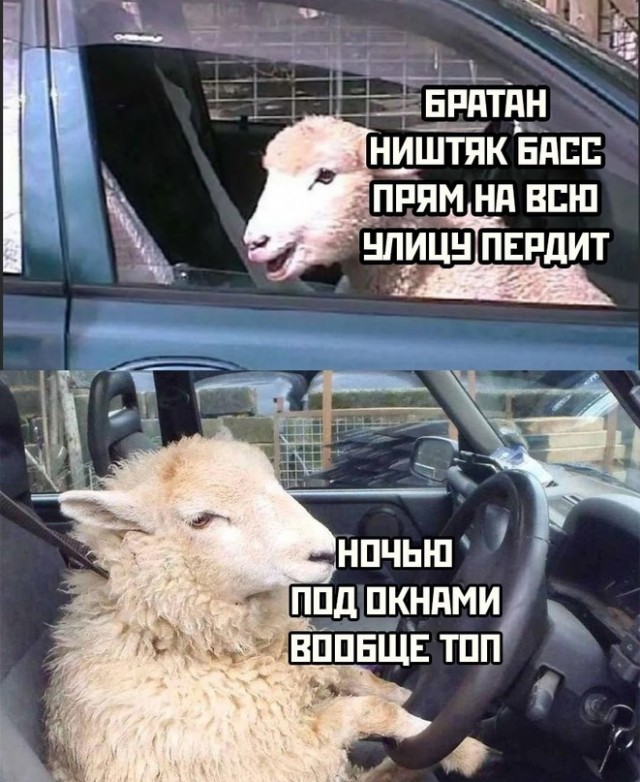 Картинки и мемы. Выходные близко...