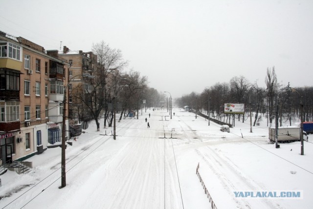 23 марта. Киев. Весна.