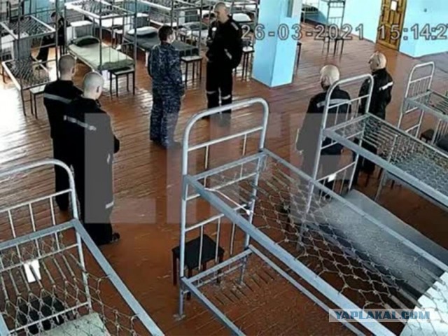 В Берлине установили копию камеры Навального в ШИЗО