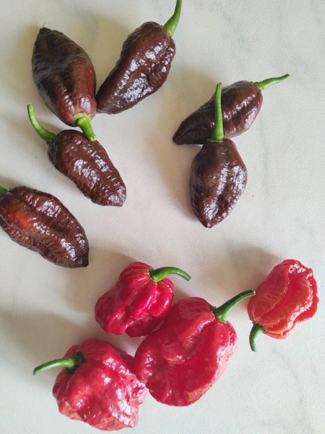 Наконец-то попробовал Carolina Reaper...