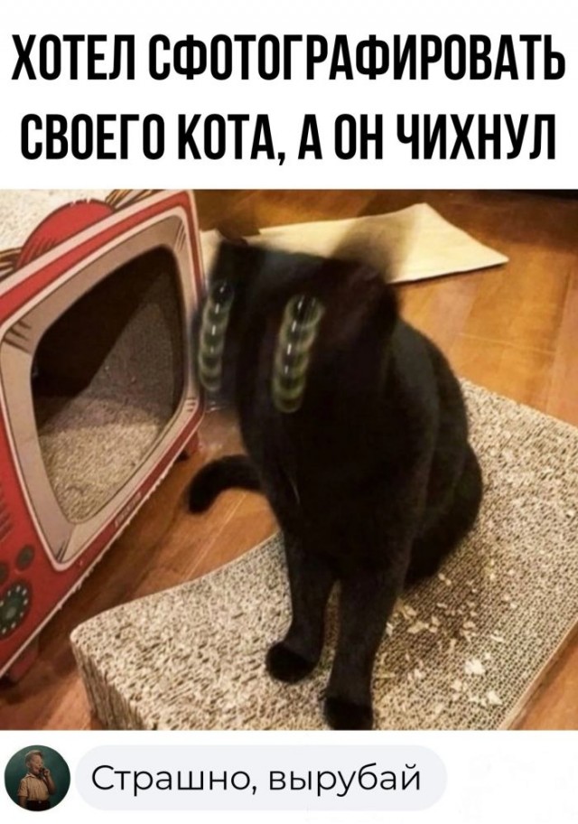Картинки и мемы для настроения - 137