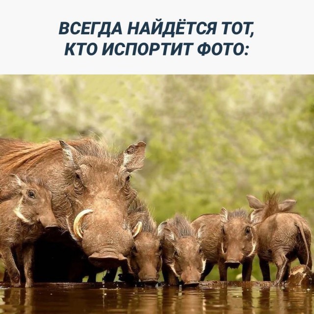 Нуштош 22.04.2023