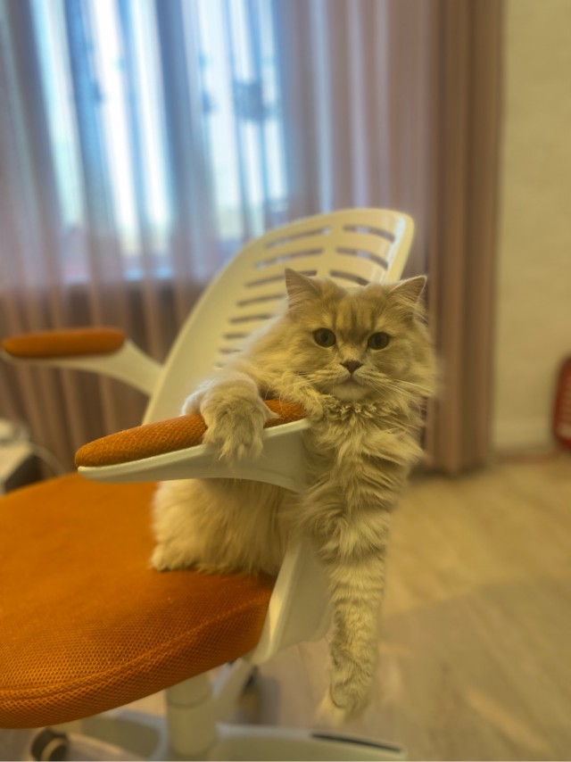 Неприемлемо