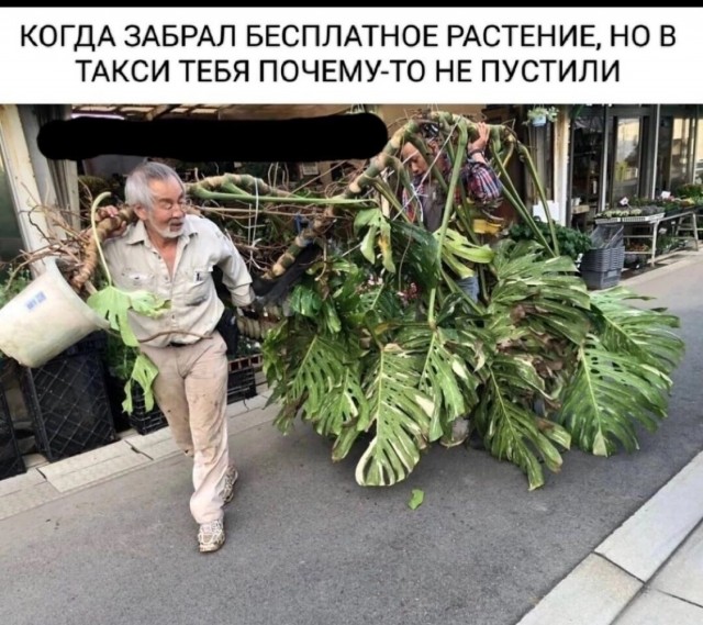 Немного картинок для настроения - 177