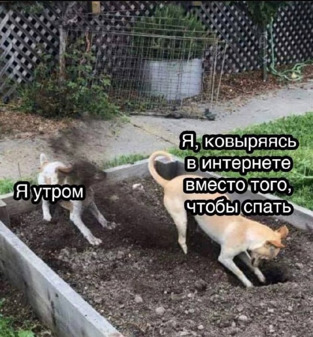 Картинки и мемы, всяко разно - 181