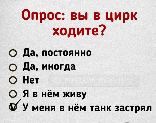 Весёлый полтишок 28.06.23