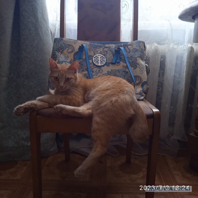 Красотка