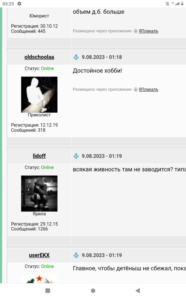 Мои флорариумы