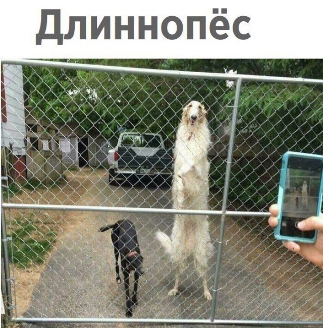 Так себе картинки 07.12.23