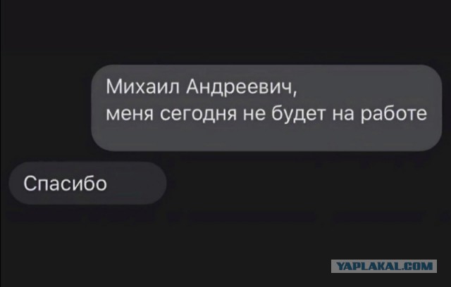 Весёлый полтишок 06.02.24