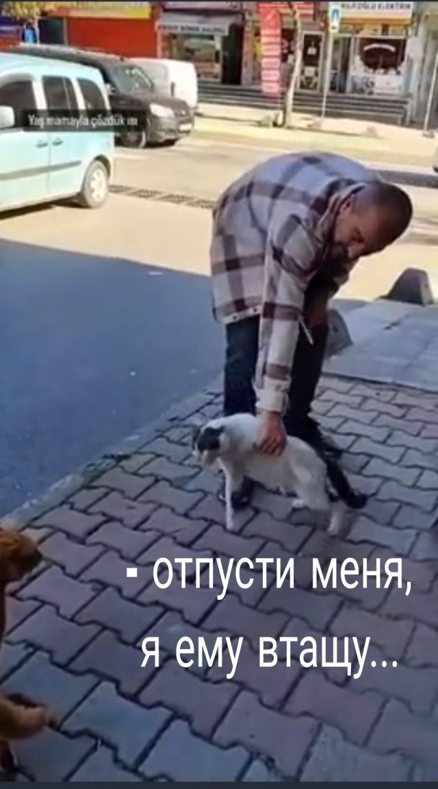 Дипломатия - уровень "Бог"