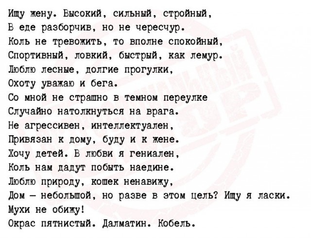 Так себе картинки 21.04.24