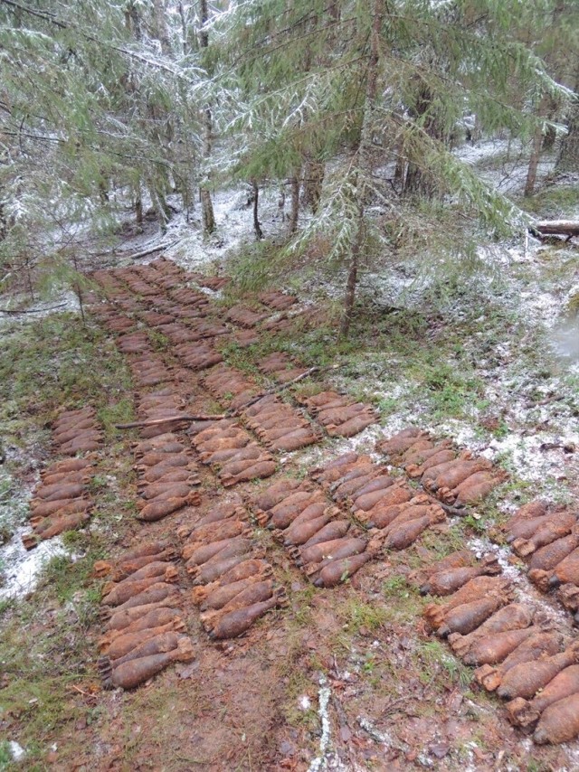 Страшное эхо войны в карельском лесу