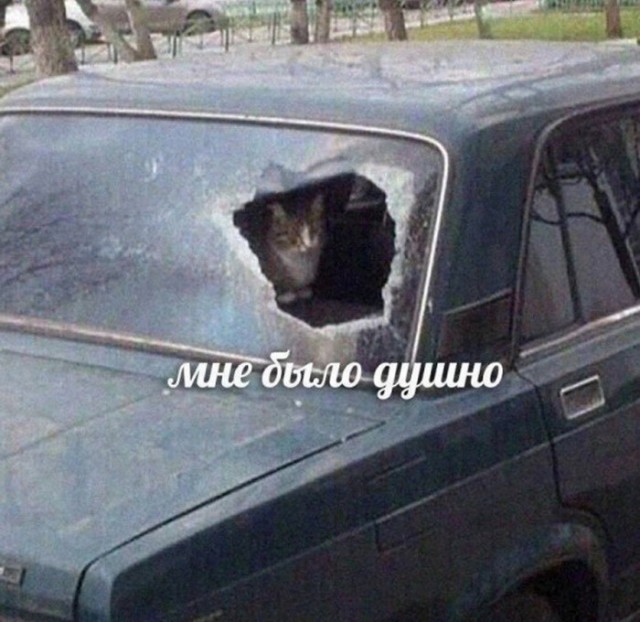 Завалялось тут случайно немного забавных картинок