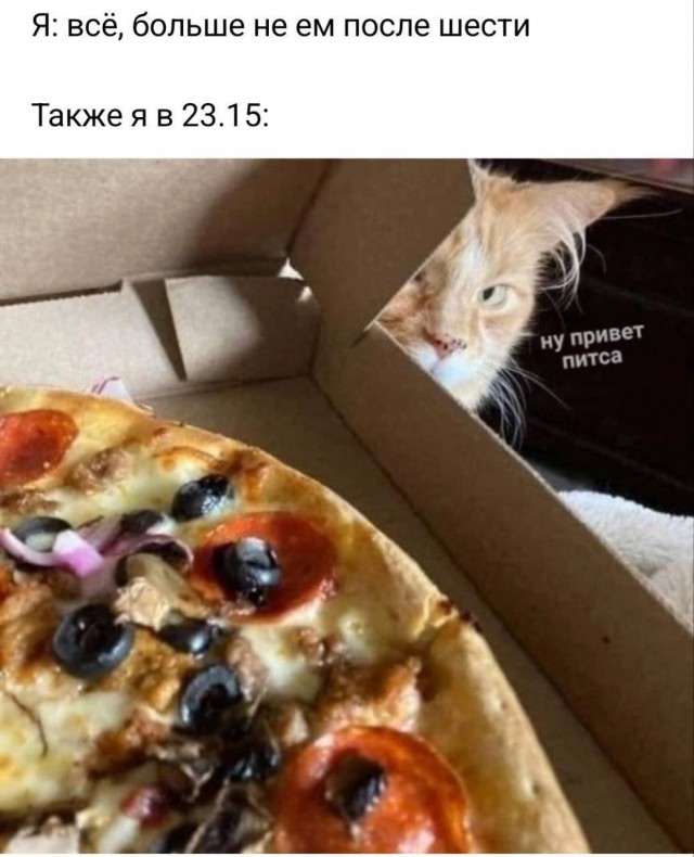 Никакие картинки