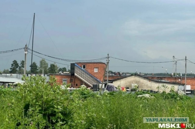 Причиной отравления 150 человек стала консервированная фасоль