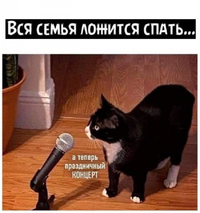 Картинки разные с надписями и без