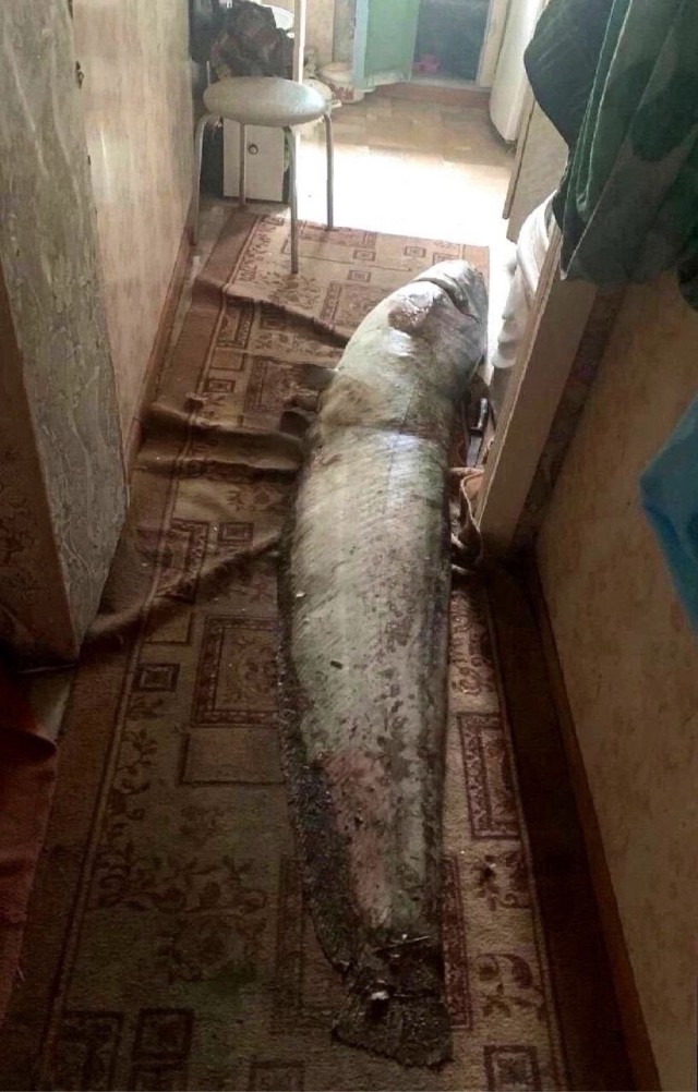 Суровые Камчатские развлечения