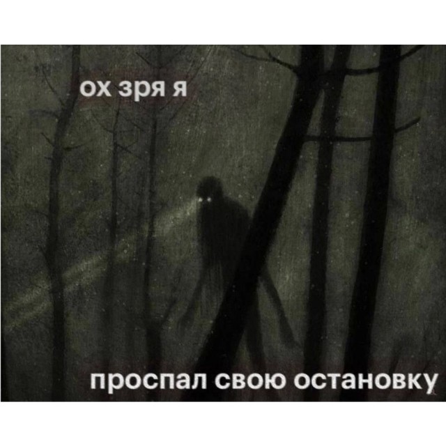 Весёлый полтишок 10.12.24