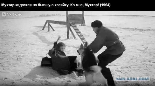 Добрая тема на ЯПлакалъ