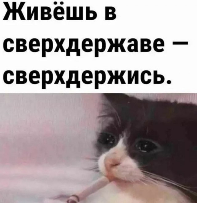 Айтишников МАССОВО увольняют в России — это касается всех регионов