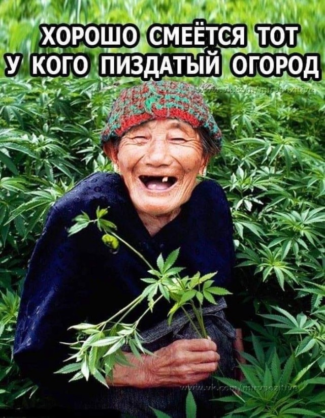 25 картинок от начальника автопарка