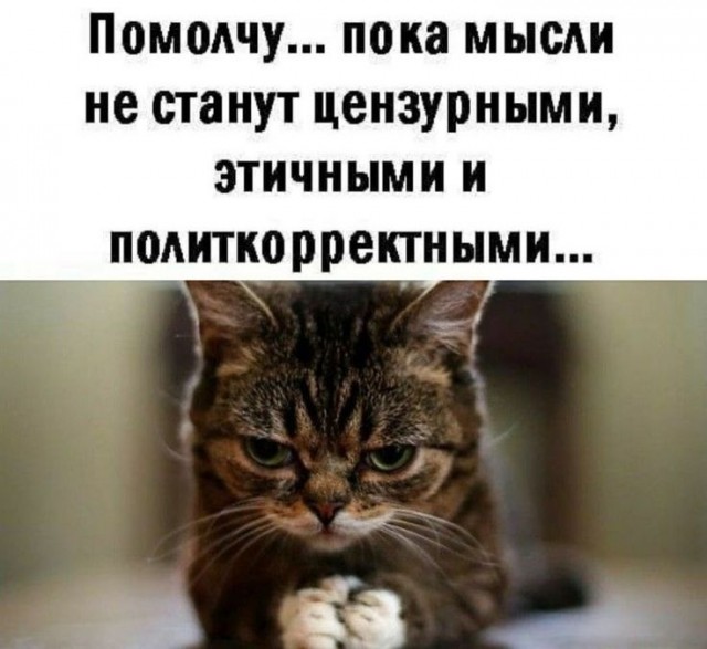 Веселые картинки в пятницу (04.04)