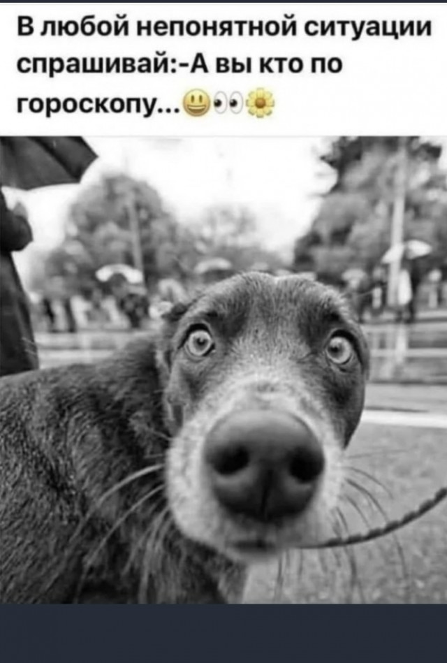 Просто будь, говорили они