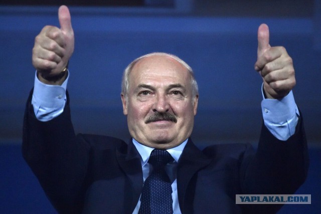 А мы картофель сажать начали