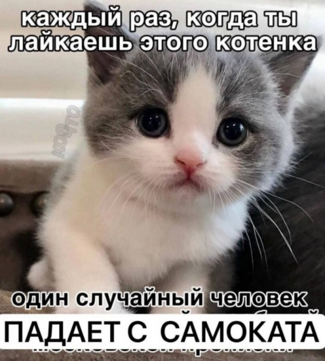 Достали, демоны