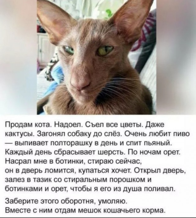 Маленькая пятница 28.05