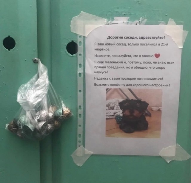 Веселое настроение в картинках (03.08.2025)