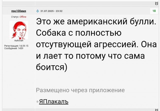 Пенсионерка устроила скандал из-за собаки